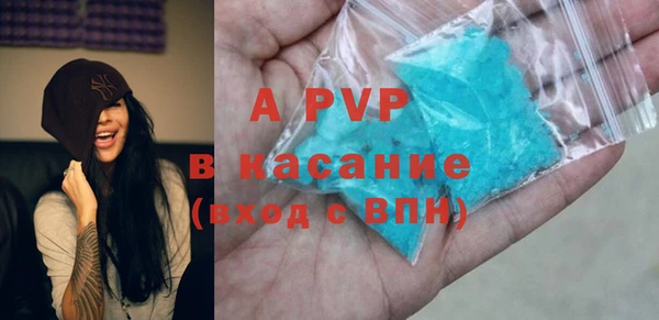молекула духа Новозыбков