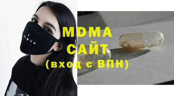 молекула духа Новозыбков