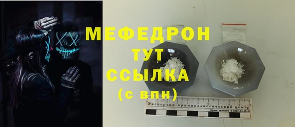 молекула духа Новозыбков