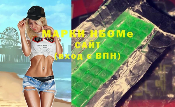 молекула духа Новозыбков