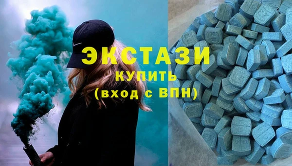 молекула духа Новозыбков