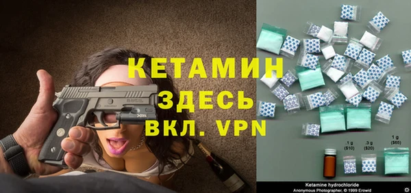 молекула духа Новозыбков