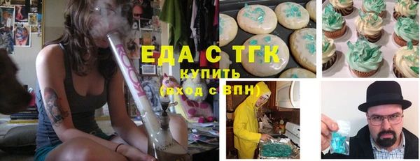 молекула духа Новозыбков