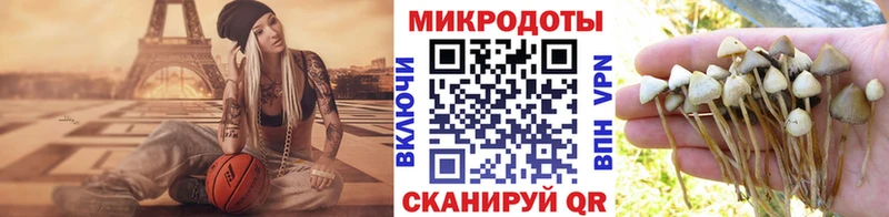 блэк спрут Новодвинск Галлюциногенные грибы Magic Shrooms