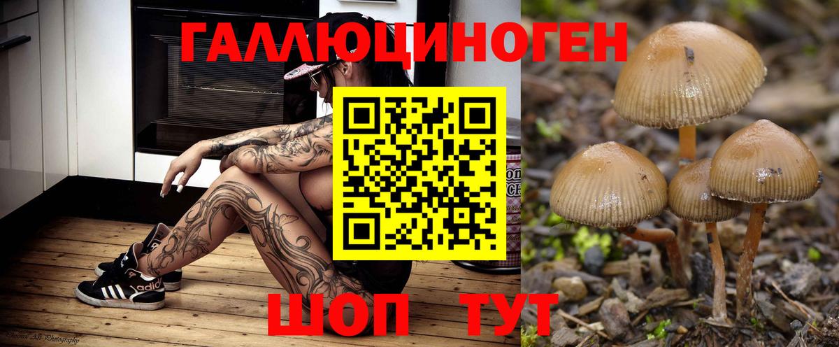 Галлюциногенные грибы Psilocybine cubensis  Вход с VPN  Новодвинск 